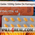 Gelée 100Mg Gelée De Kamagra 43